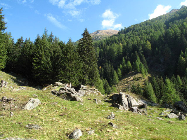 zwischen Fallbach-Klettersteig und In der Perschitz