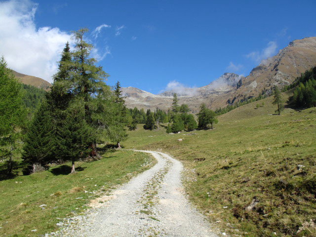 zwischen Zirmhofh&uuml;tte und Perschitzh&uuml;tte
