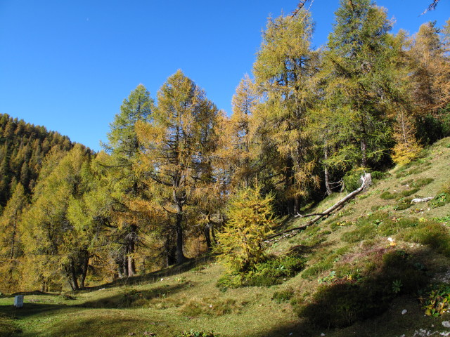 zwischen Mitzl-Moitzl-H&uuml;tte und Mallestiger Mittagskogel
