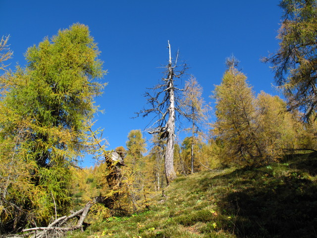 zwischen Mallestiger Mittagskogel und Techantinger Mittagskogel