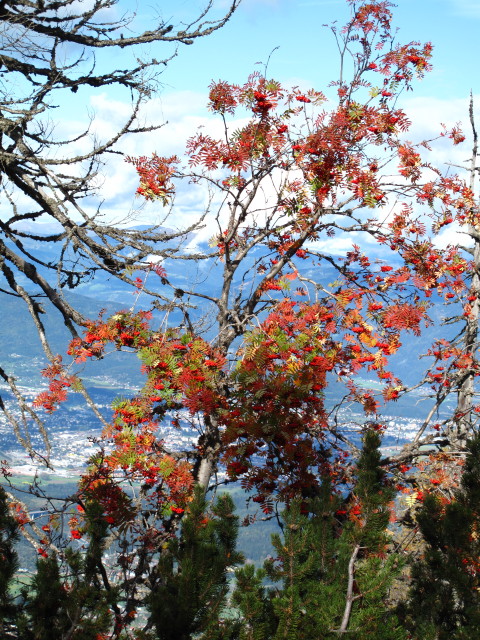 zwischen Techantinger Mittagskogel und Blekowaalm