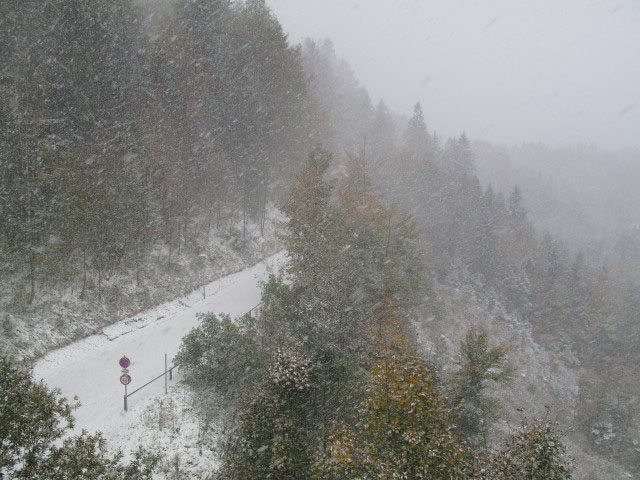 Zufahrtstra&szlig;e Artis-Hotel (13. Okt.)