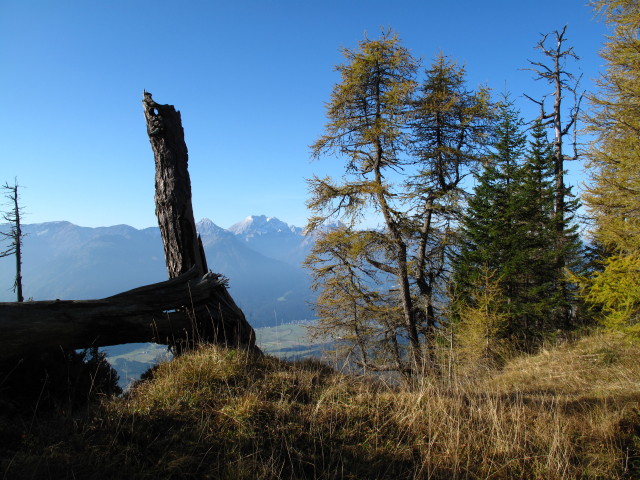 zwischen Schwalbenwand und Siegelberg (26. Okt.)