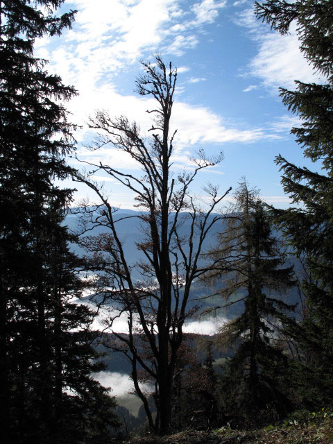 vom Gsolhirnsteig Richtung S&uuml;den