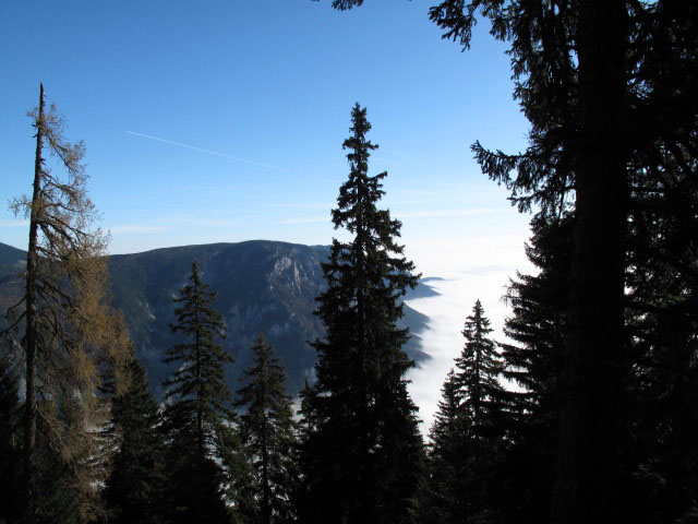 vom Gsolhirnsteig Richtung Osten