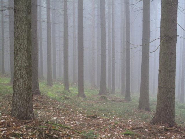 zwischen Wegscheid und Reisser