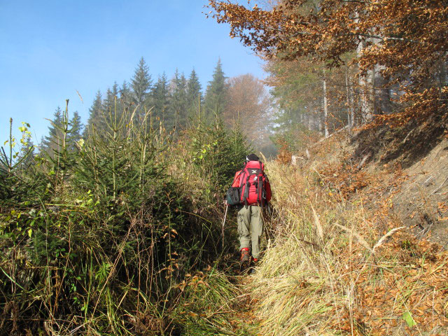 Christoph zwischen R&ouml;rl und Ortneralm