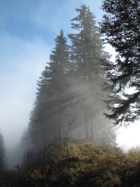 zwischen R&ouml;rl und Ortneralm