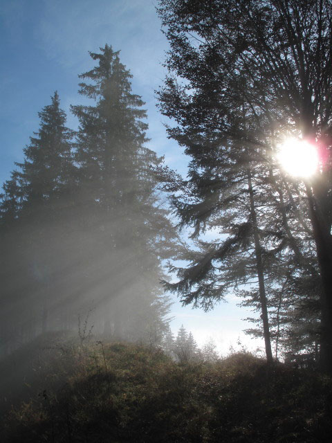 zwischen R&ouml;rl und Ortneralm