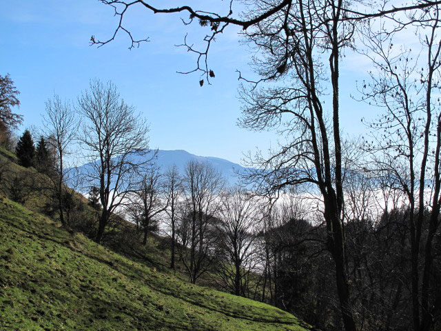 zwischen R&ouml;rl und Ortneralm