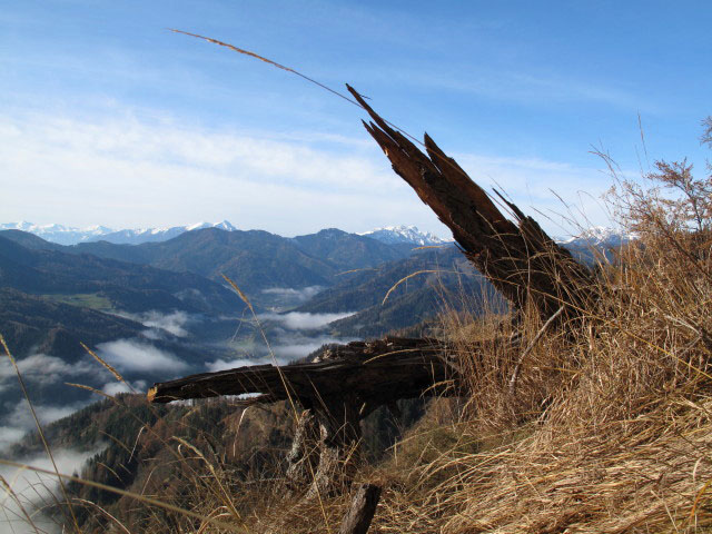 zwischen Ortneralm und Kleinem Floning