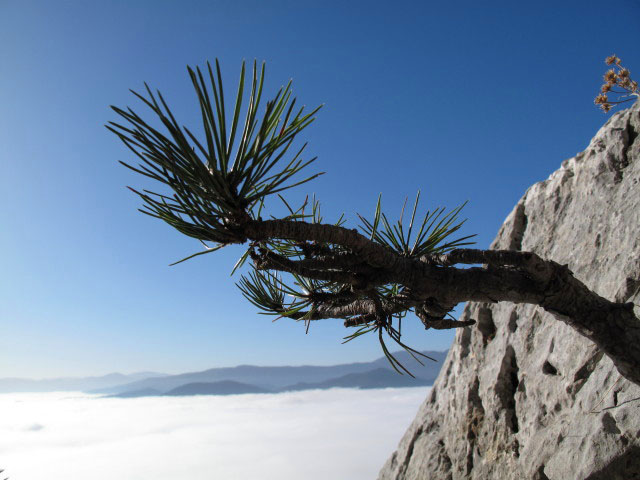 vom Fredsteig Richtung Südwesten