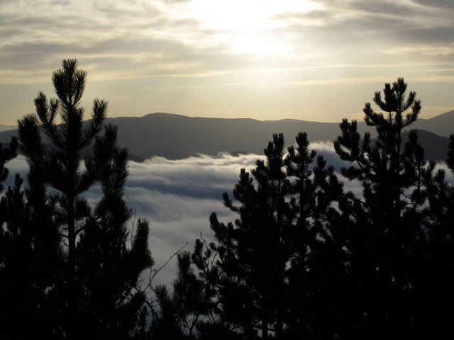 vom Grafenbergweg Richtung S&uuml;dwesten
