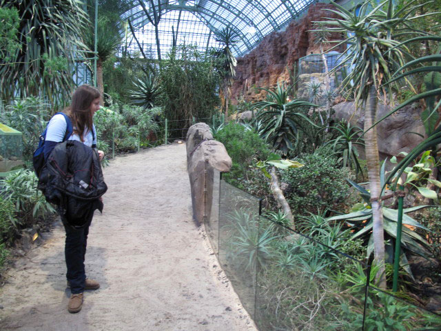 Daniela im W&uuml;stenhaus