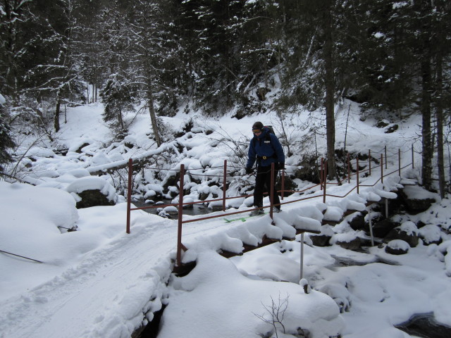 Daniela zwischen Manzenkaralm und Gasthof Wegscheid (24. Jän.)