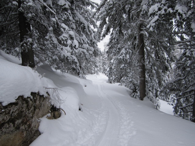 zwischen Tonionalm und Langboden