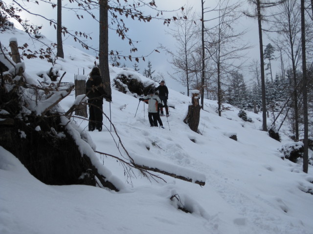 Andreas, Daniela, Marion und Michael zwischen Haberkogel und Haselrast