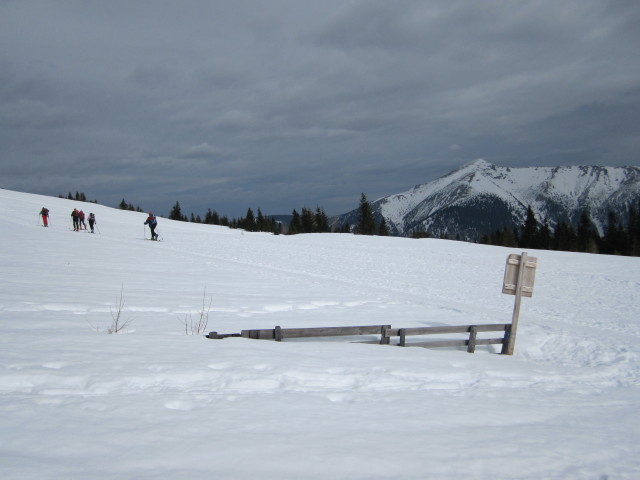 neben dem Ebenwald-Schlepplift