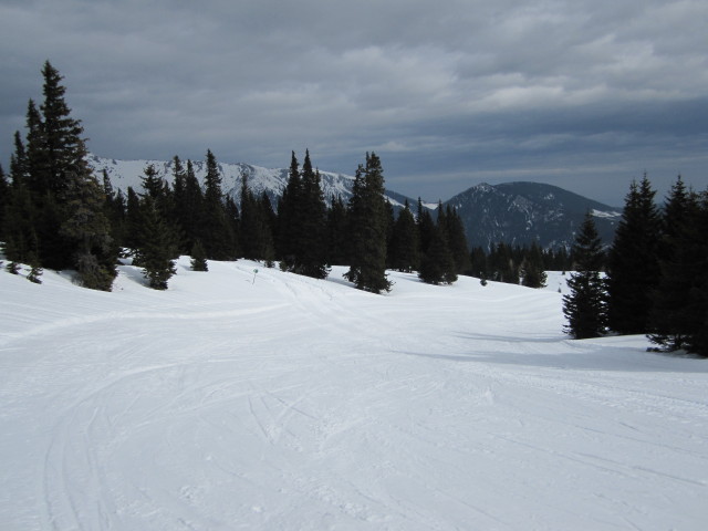 Abfahrt des Ebenwald-Schlepplifts