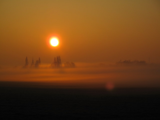 Süßenbrunn (26. März)