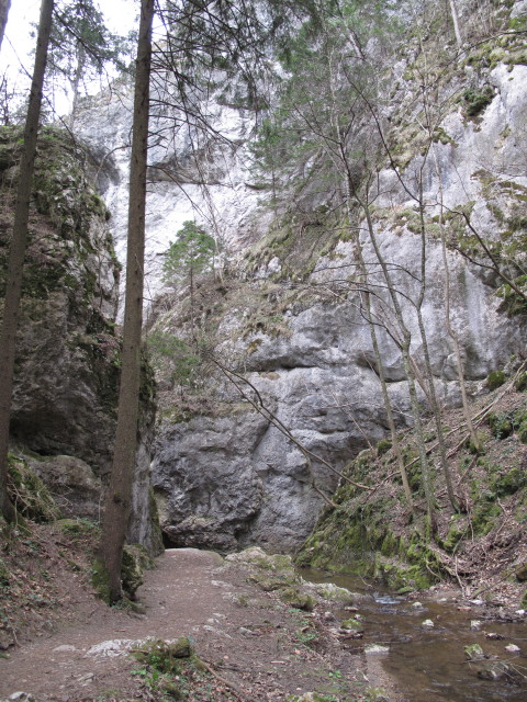 Johannesbachklamm