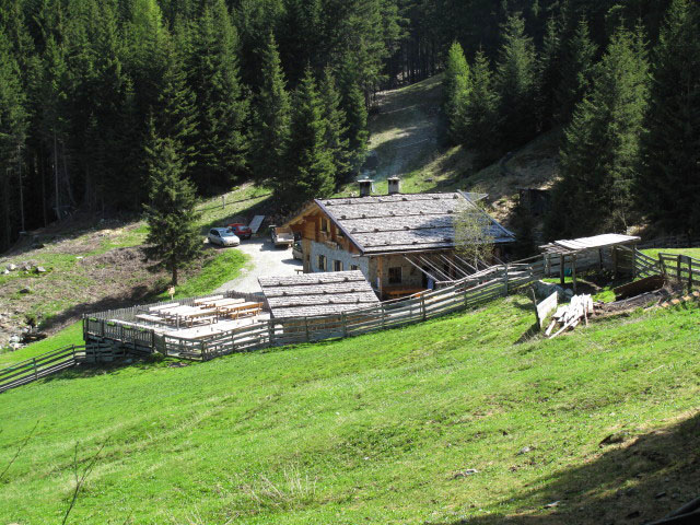 Streitweideralm, 1.560 m (24. Mai)