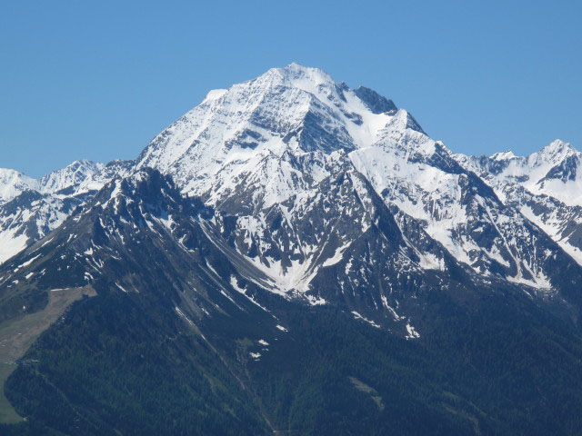 Habicht vom Jochkreuz aus