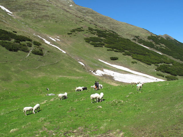 Sailennieder, 1.972 m