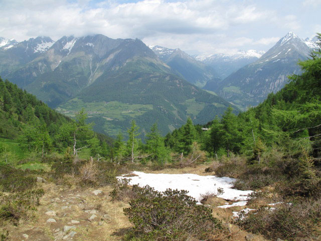 zwischen Zunigalm und Zunigsee (11. Juni)
