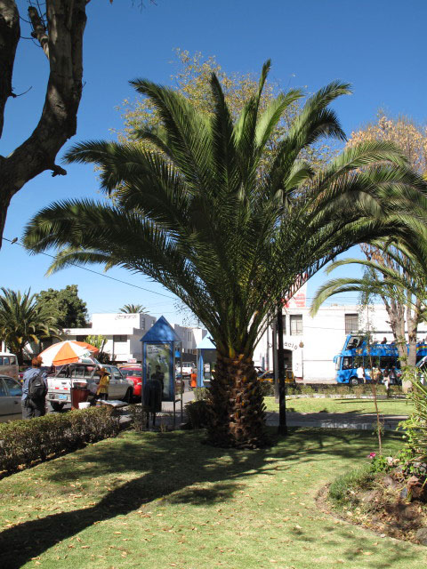 Plaza de Yanahuara in Arequipa (7. Juli)