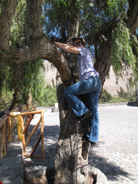 Daniela bei der Mansion del Fundador in Arequipa (7. Juli)
