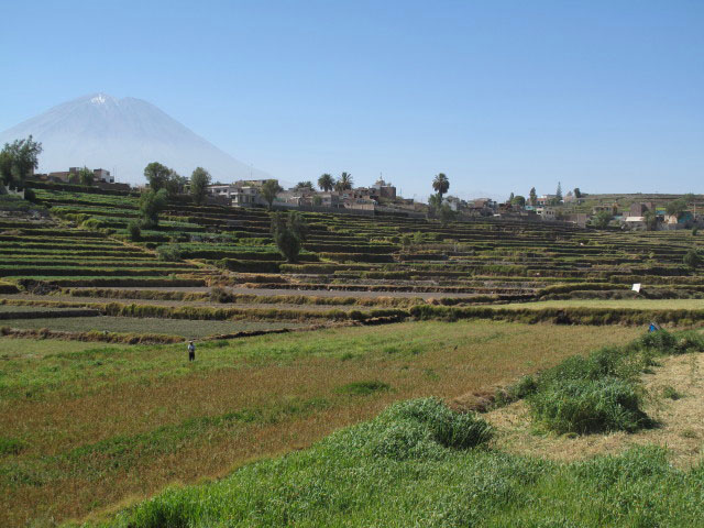 Paucarpata in Arequipa (7. Juli)