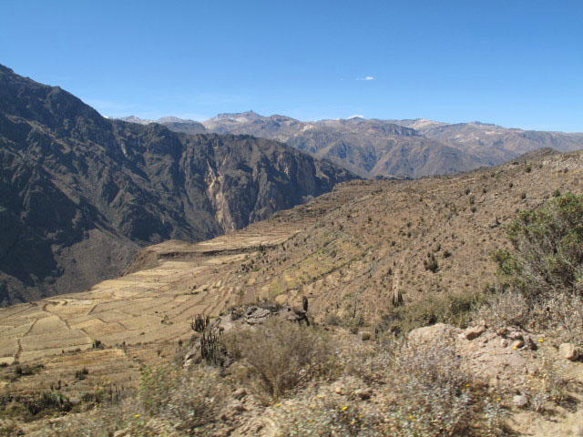 Cañon del Colca (9. Juli)