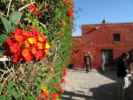 Monasterio de Santa Catalina in Arequipa (5. Juli)