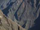 Cañon del Colca vom Mirador Cruz del Condor aus (9. Juli)