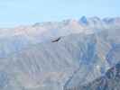 Cañon del Colca vom Mirador Cruz del Condor aus (9. Juli)