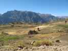Cañon del Colca (9. Juli)