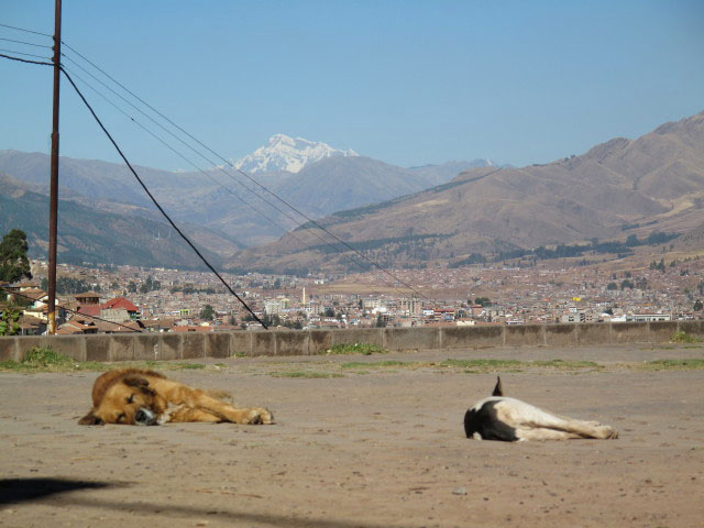 bei der Iglesia de San Cristóbal in Cusco (21. Juli)