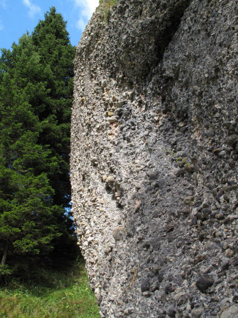 zwischen Rohnehöhe und Hohenfluhalpkopf (4. Sep.)