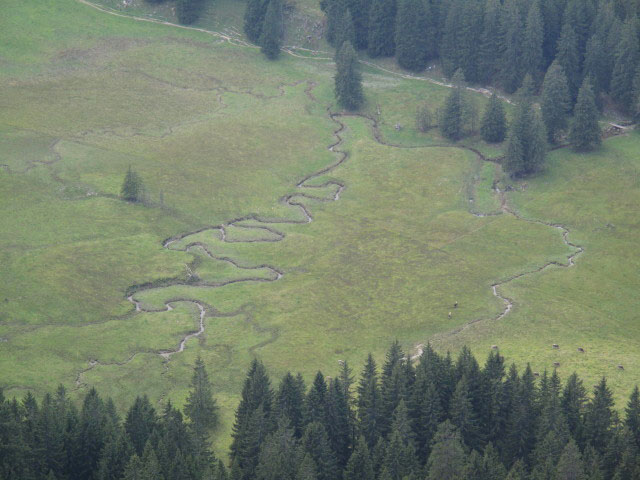 Hintere Krumbach (5. Sep.)