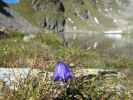 Grindlbergsee, 2.485 m (12. Sep.)