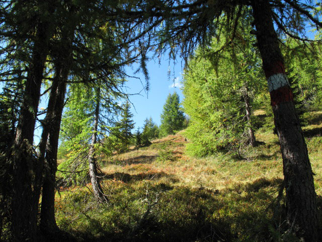 zwischen Mitterwald und Zwiesel (21. Sep.)