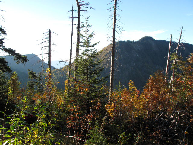 zwischen Häbelesgund und Ostrach