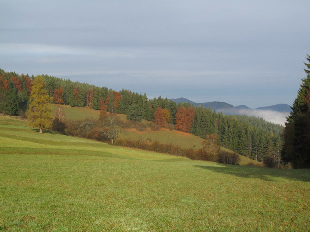 zwischen Ochsenheide und auf der Eben