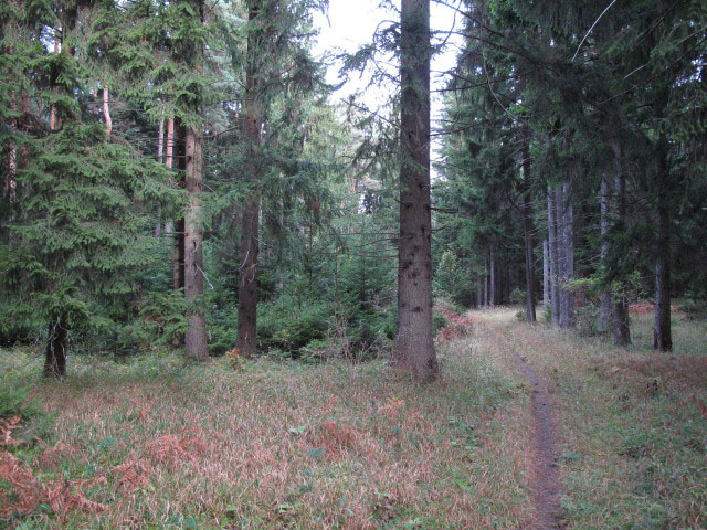 zwischen Ochsenheide und auf der Eben