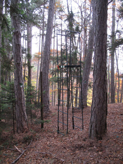 zwischen auf der Eben und Großem Neukogel