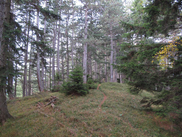 zwischen auf der Eben und Großem Neukogel