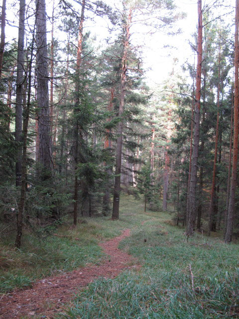 zwischen Großem Neukogel und Vorderbruck