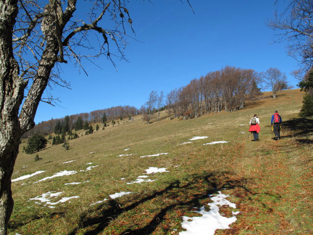 zwischen Traisner Hütte und Sternleiten