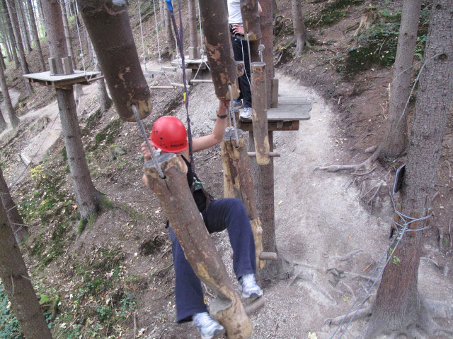 Karin im Parcours 'Baummarder'